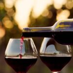 Enjoy curated Wine Selections at Waterside Grill and Lounge