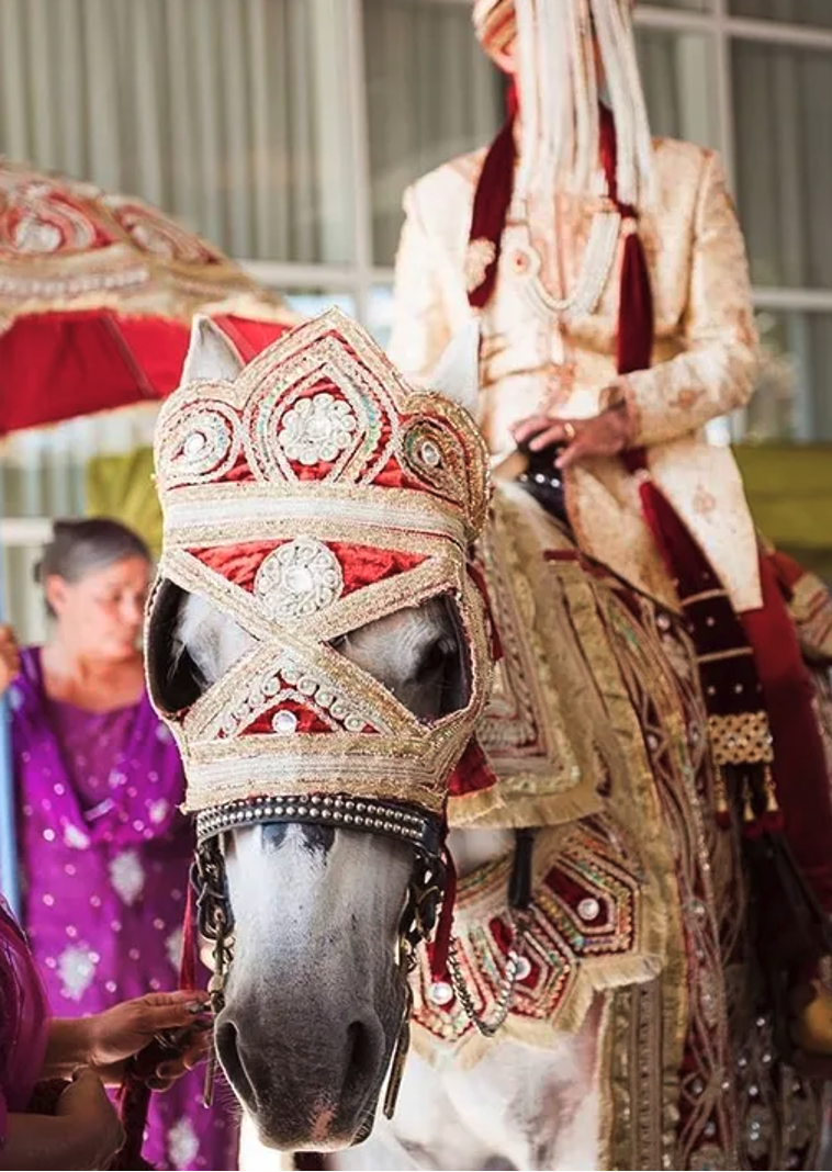 Indian wedding groom on a horse