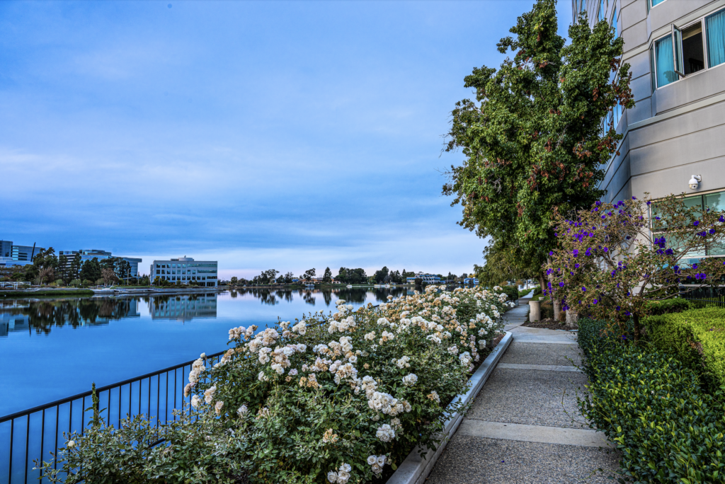 Grand Bay Hotel San Francisco’s outside walking path surrounded by flowers next to Redwood Shores Lagoon