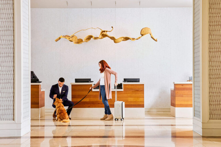 Pawsitively Perfect: The Best Pet-Friendly Hotel Near You