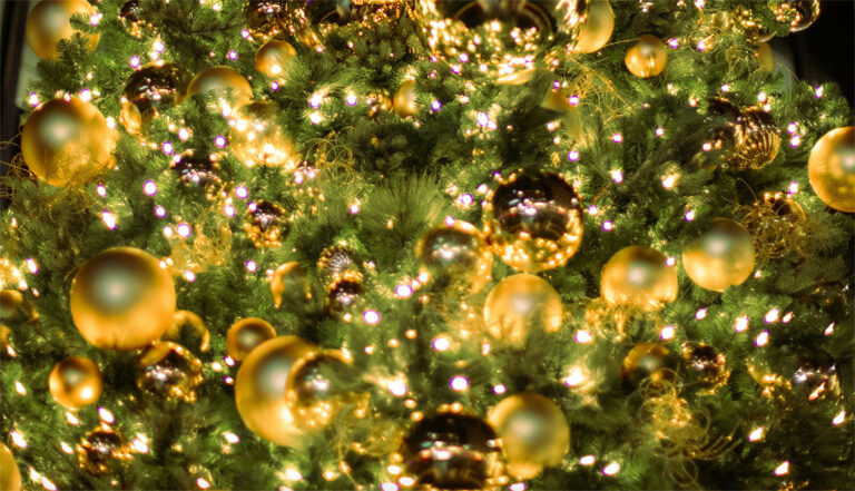 Winter Wonderland: Holidays at Grand Bay Hotel San Francisco